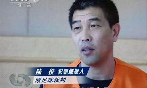 陆俊风波_陆俊被抓